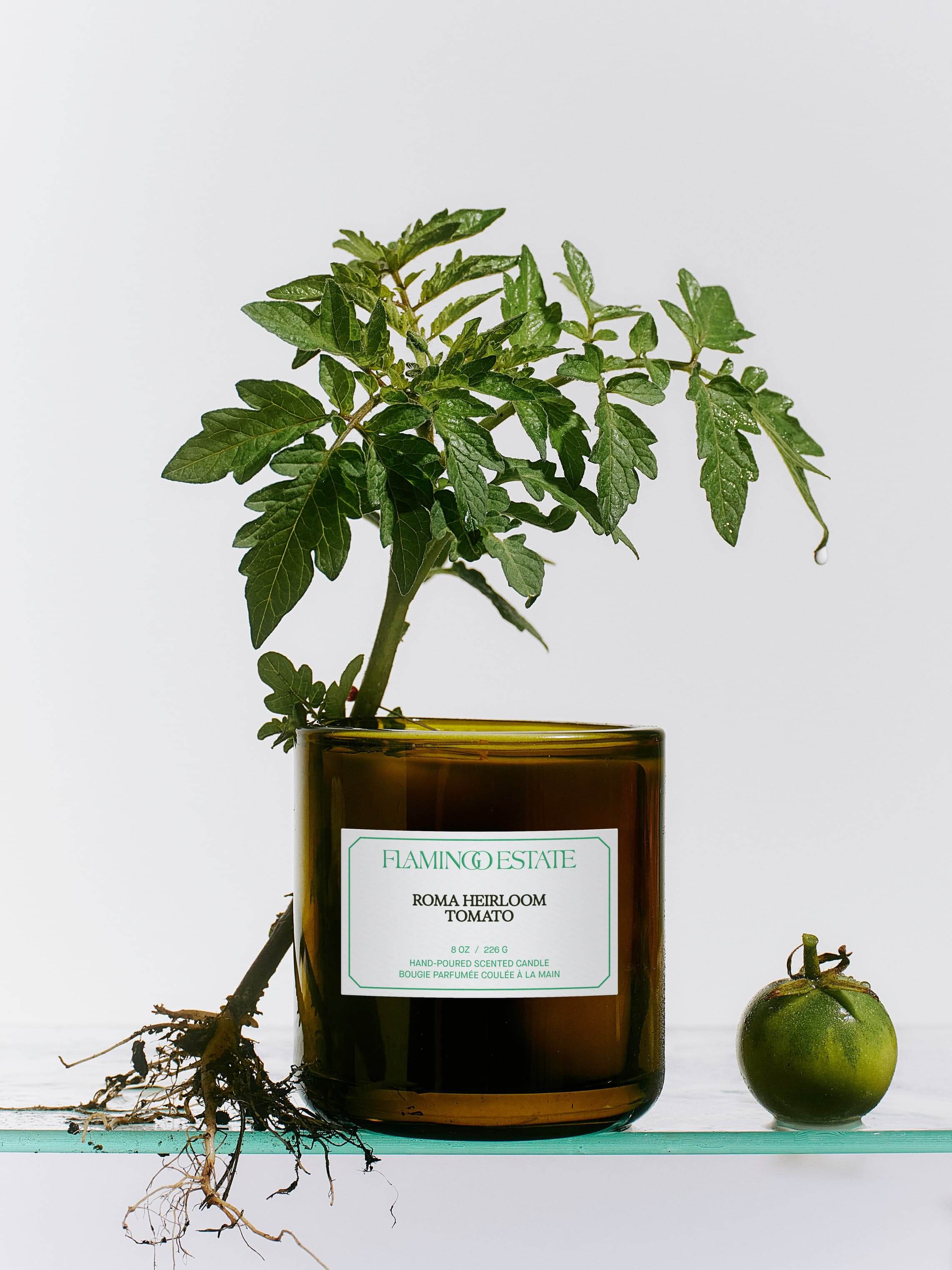 Roma Heirloom Tomato Candle by Flamingo Estate