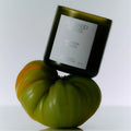 Heirloom Tomato Candle by Flamingo Estate