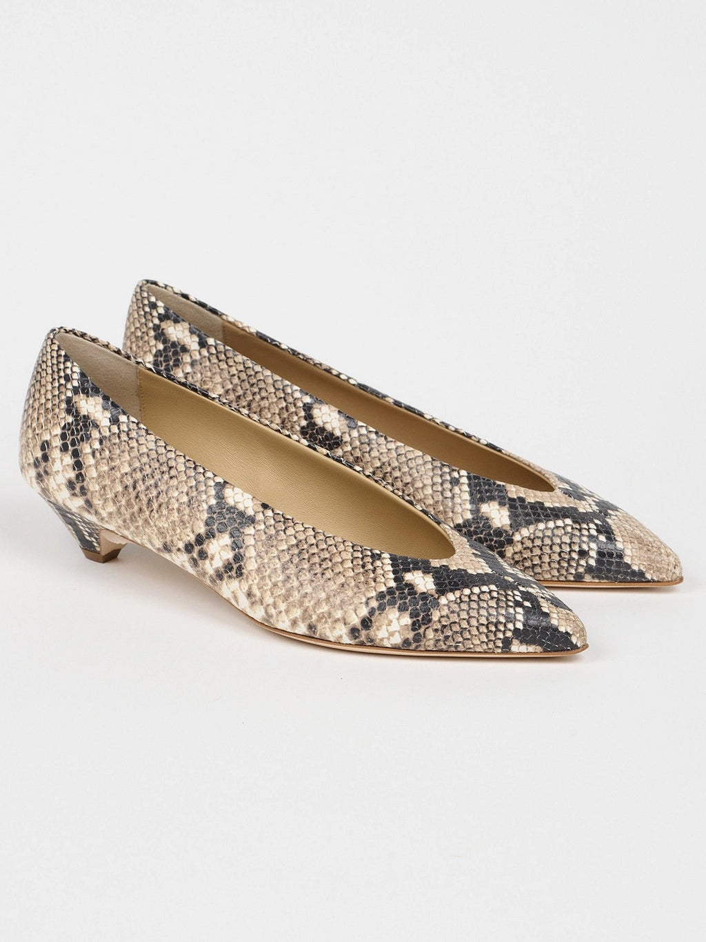Pair of snake print shoes on a white background