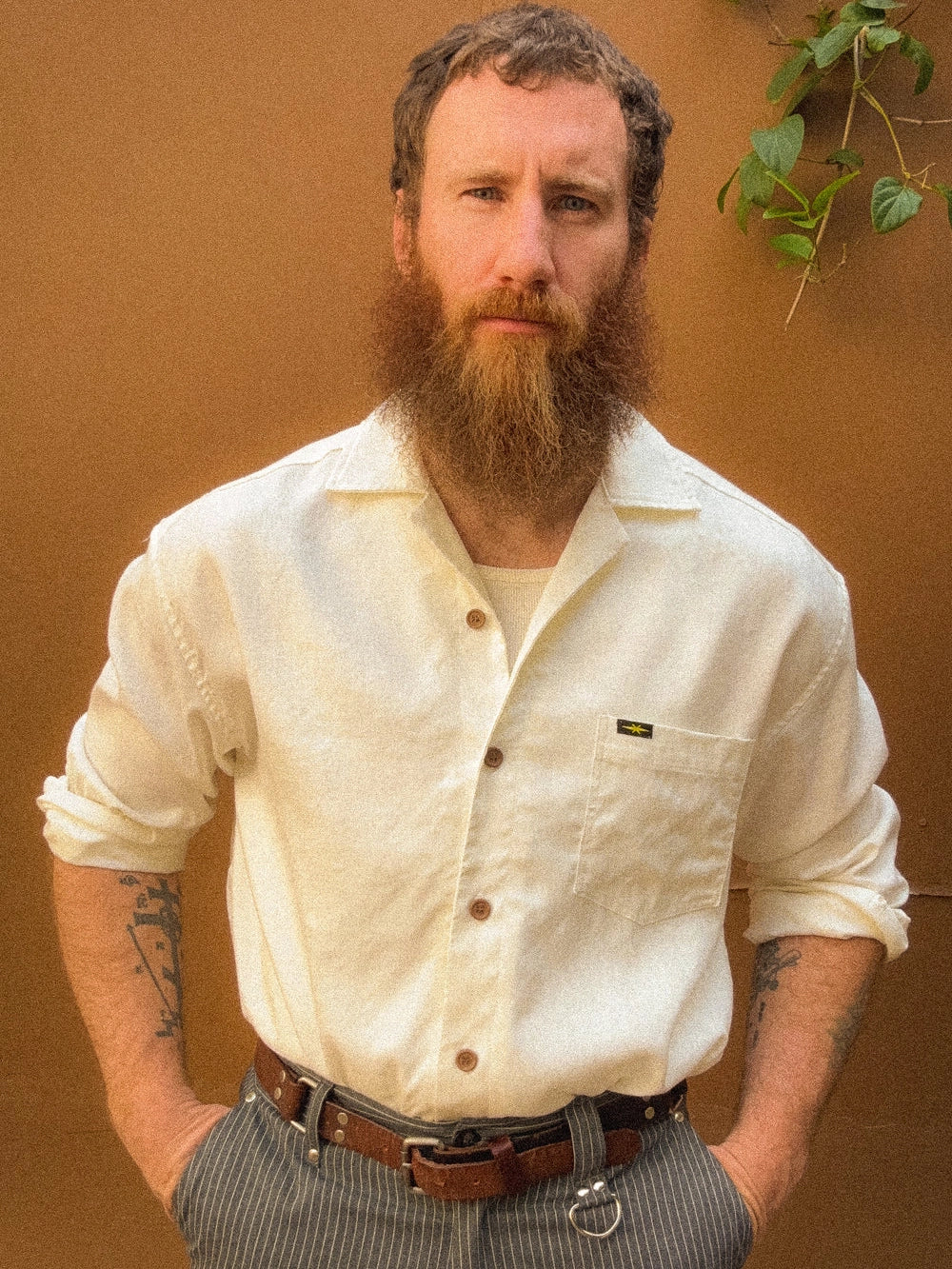 Hollywood Shirt in White by PHIPPS