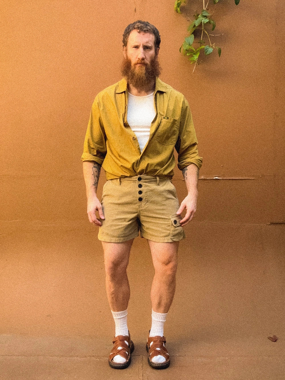 Hollywood Shirt in Mustard by PHIPPS
